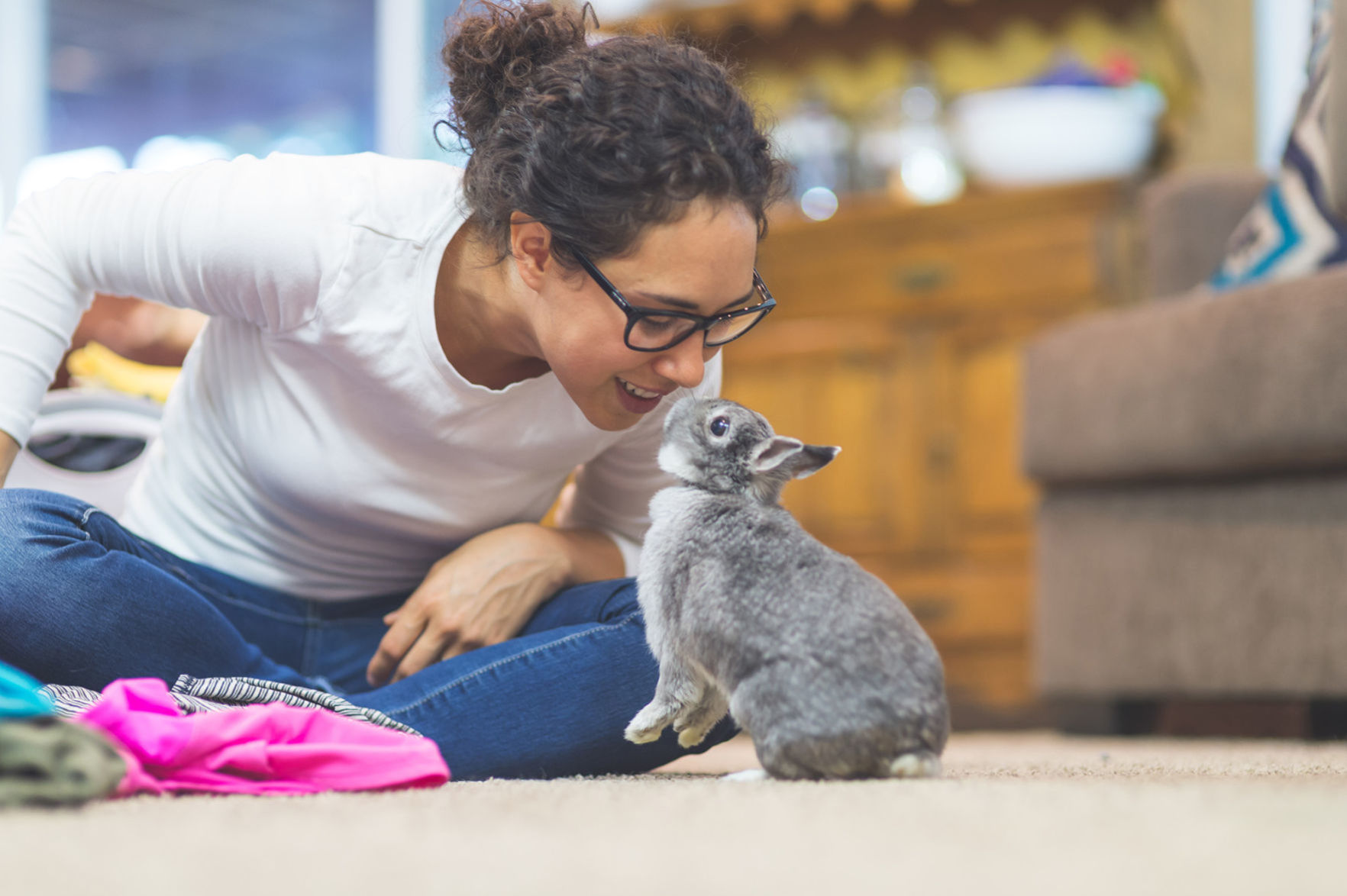 Critter care (rodents)